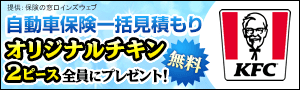 保険の窓口 インズウェブ 自動車保険一括見積もり オリジナルチキン2ピース 全員にプレゼント 〜 無料