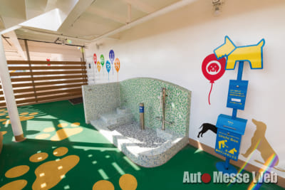 さんふらわあ、フェリーで九州、豪華客船、さつま、きりしま、SUP、鹿児島、桜島