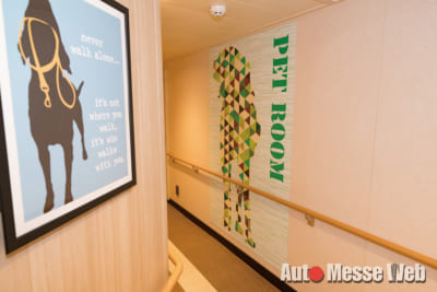 さんふらわあ、フェリーで九州、豪華客船、さつま、きりしま、SUP、鹿児島、桜島