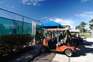 【画像】ゴルフカートが公道を走る！ アメリカの高齢者タウンで見た意外なモビリティ事情 〜 画像4