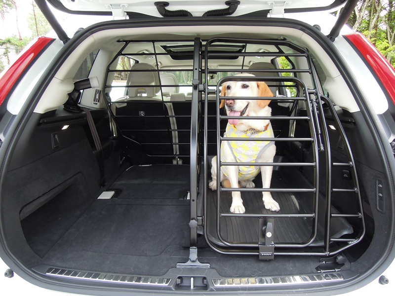 愛犬にもシートベルト着用 ペットとのクルマ移動で気を付けるべき点8つ Auto Messe Web カスタム アウトドア 福祉車両 モータースポーツなどのカーライフ情報が満載 愛犬にもシートベルト着用 ペットとのクルマ移動で気を付けるべき点8つ Auto Messe Web カスタム アウトドア 福祉車両 モータースポーツなどのカーライフ情報が満載