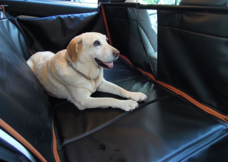 愛犬にもシートベルト着用 ペットとのクルマ移動で気を付けるべき点8つ Auto Messe Web カスタム アウトドア 福祉車両 モータースポーツなどのカーライフ情報が満載 愛犬にもシートベルト着用 ペットとのクルマ移動で気を付けるべき点8つ Auto Messe Web カスタム アウトドア 福祉車両 モータースポーツなどのカーライフ情報が満載