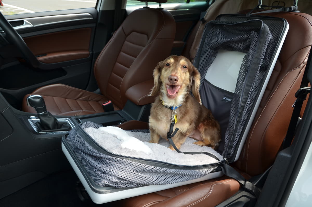 ペットの犬とドライブに行く時の注意点 〜 画像1