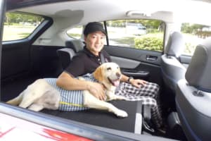 【画像】愛犬にもシートベルト着用！ペットとのクルマ移動で気を付けるべき点8つ 〜 画像3