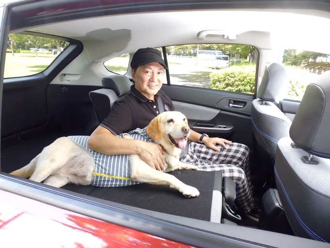 愛犬にもシートベルト着用 ペットとのクルマ移動で気を付けるべき点8つ Auto Messe Web カスタム アウトドア 福祉車両 モータースポーツなどのカーライフ情報が満載 愛犬にもシートベルト着用 ペットとのクルマ移動で気を付けるべき点8つ Auto Messe Web カスタム アウトドア 福祉車両 モータースポーツなどのカーライフ情報が満載