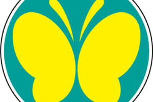 対象車への危険行為は違反 若葉 四つ葉 チョウの自動車マークはどんな人がつける Auto Messe Web カスタム アウトドア 福祉車両 モータースポーツなどのカーライフ情報が満載