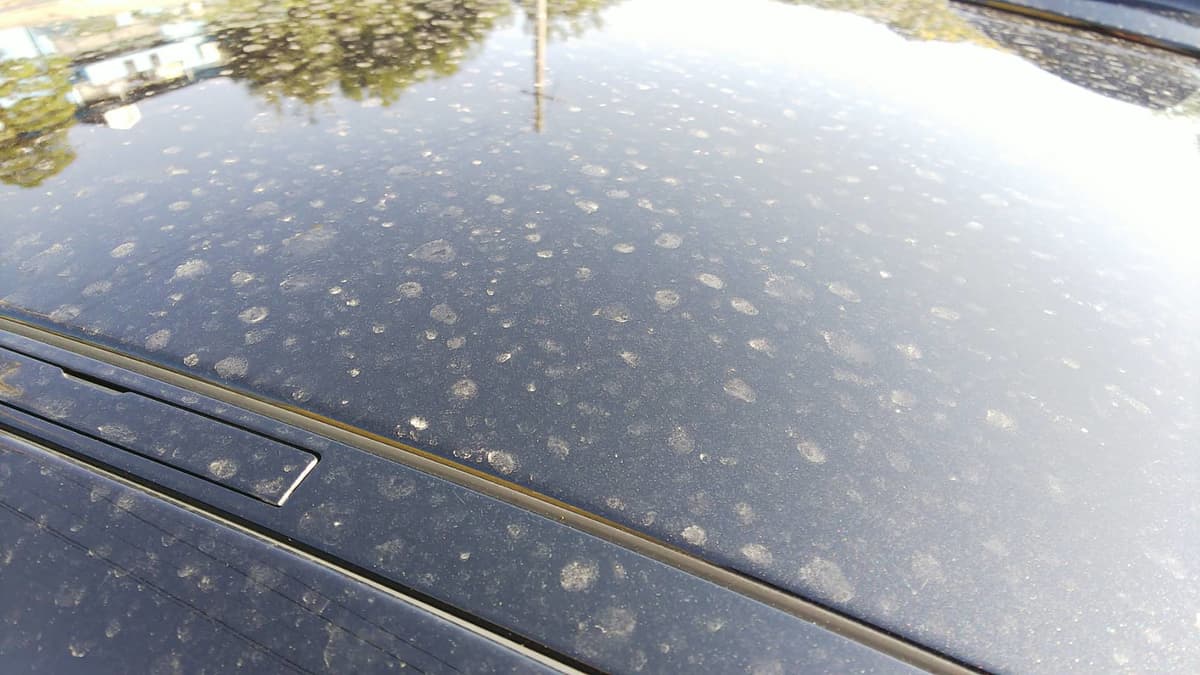 ピーク前に知っておきたい クルマに付着した 黄砂 の簡単ボディ対策とは Auto Messe Web カスタム アウトドア 福祉車両 モータースポーツなどのカーライフ情報が満載