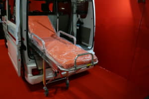 【画像】ドレスアップな「救急搬送車」をカスタムカーショーに展示した意図とは 〜 画像5