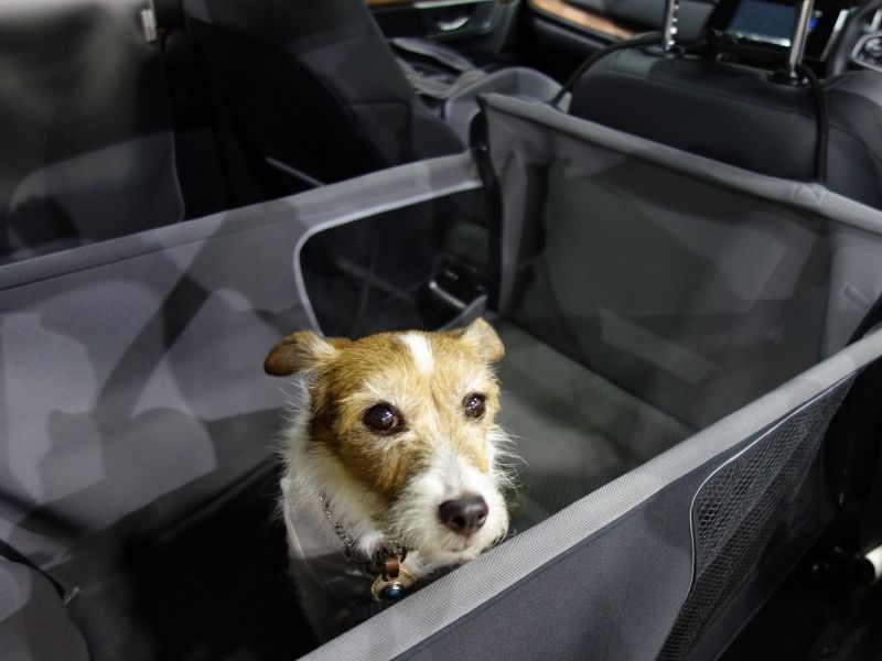 車内が汚れないドッグシート