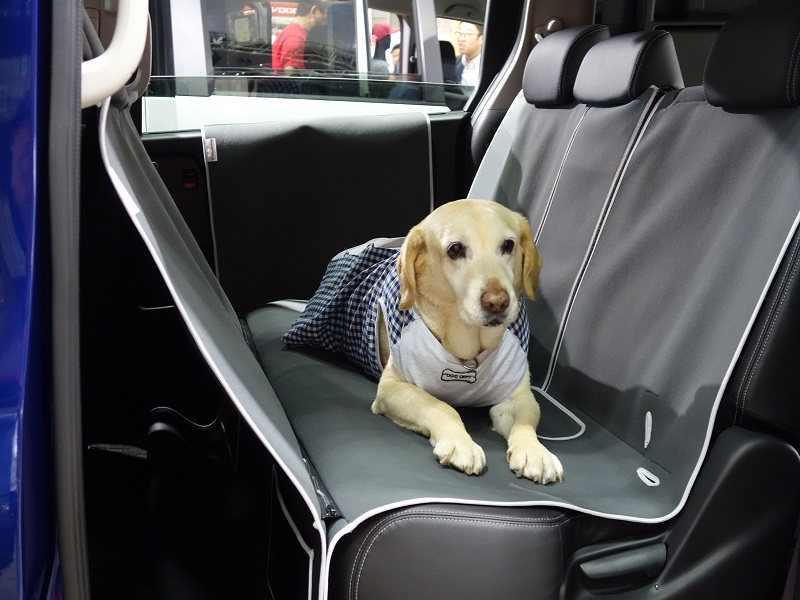 車内が汚れないドッグシート