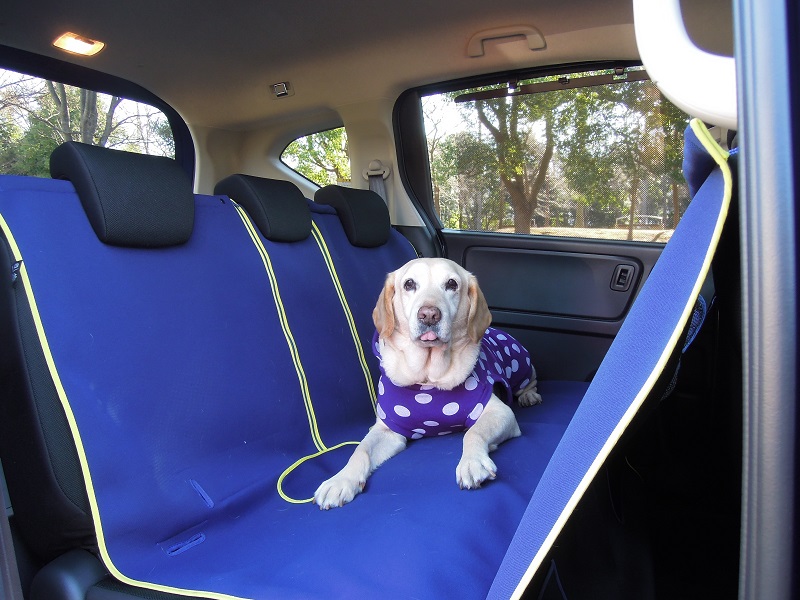 車内が汚れないドッグシート