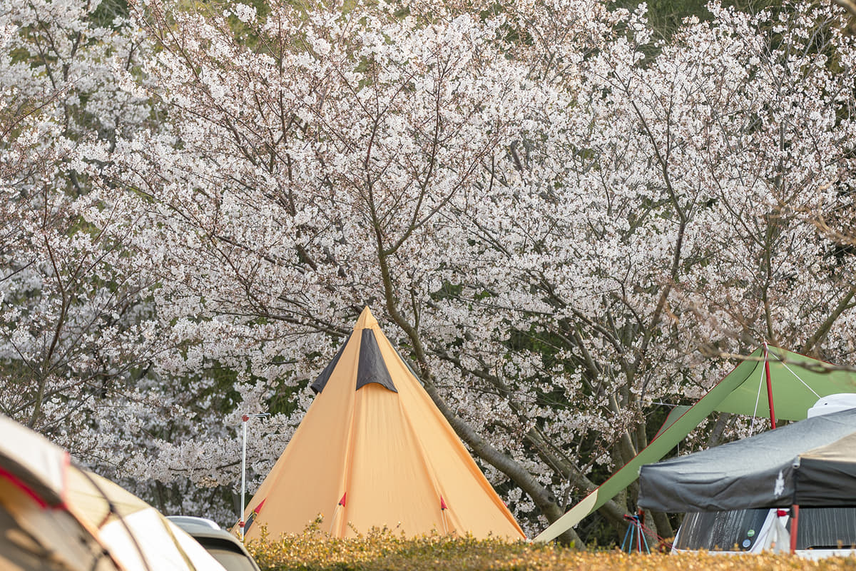 春のキャンプは気温差に注意