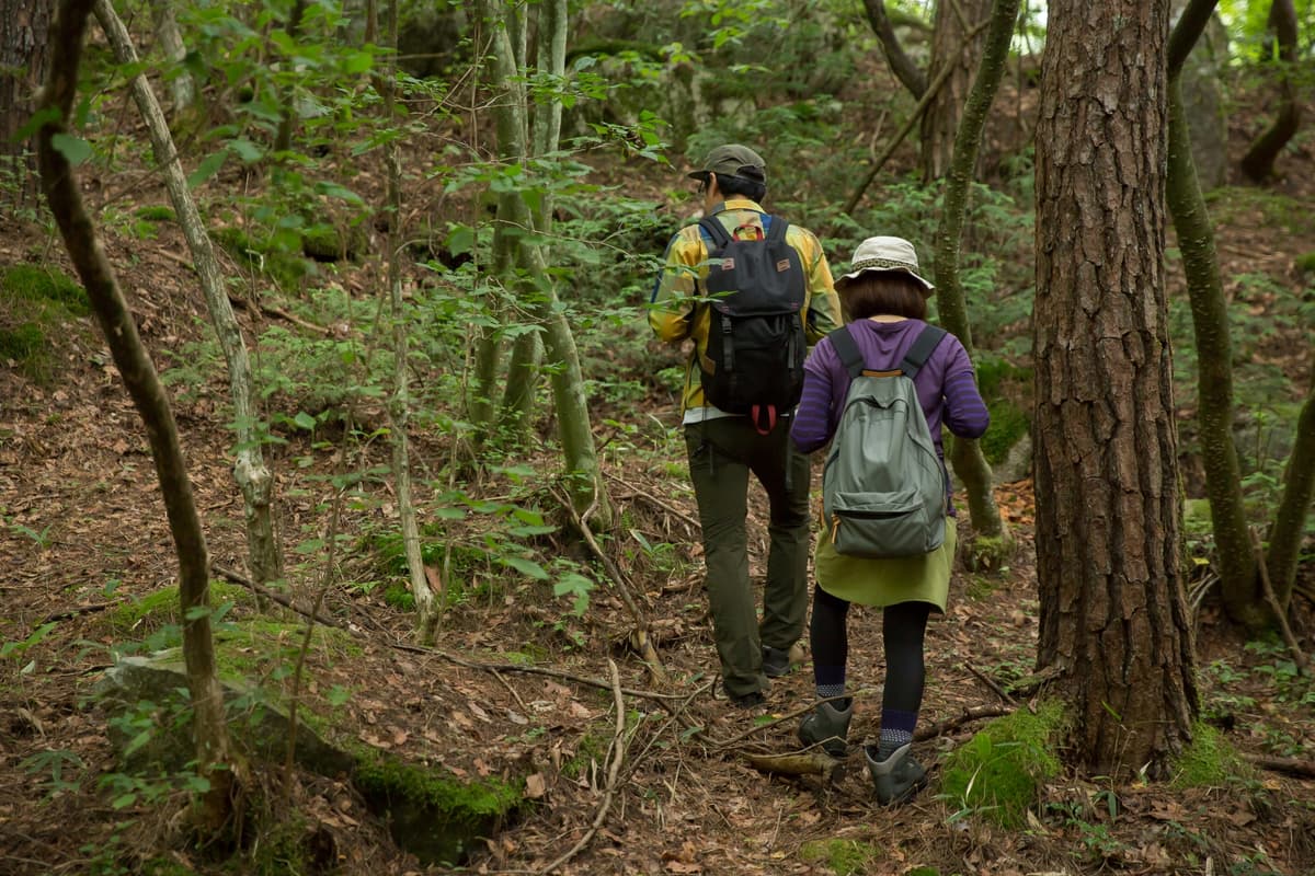 命を落とす危険も 山菜採り を楽しむために気をつけるべき ４つ の盲点 画像1 Auto Messe Web カスタム アウトドア 福祉車両 モータースポーツなどのカーライフ情報が満載
