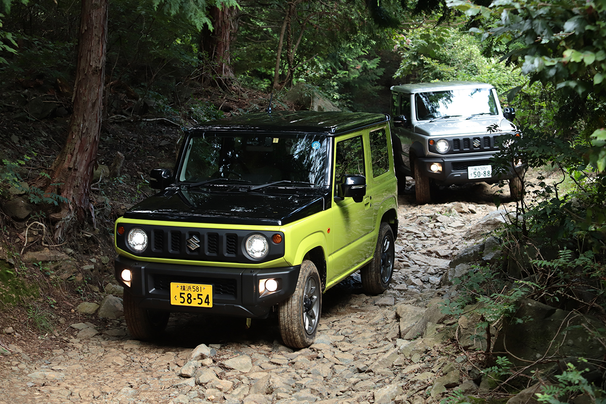 命を落とす危険も 山菜採り を楽しむために気をつけるべき ４つ の盲点 画像1 Auto Messe Web カスタム アウトドア 福祉車両 モータースポーツなどのカーライフ情報が満載