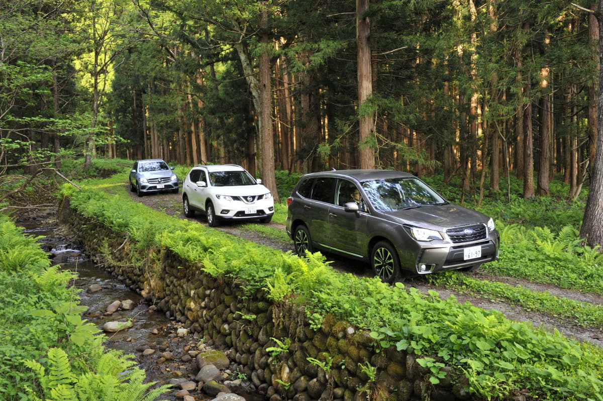 命を落とす危険も 山菜採り を楽しむために気をつけるべき ４つ の盲点 Auto Messe Web カスタム アウトドア 福祉車両 モータースポーツなどのカーライフ情報が満載