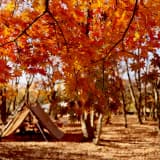 紅葉の中のエモいキャンプ