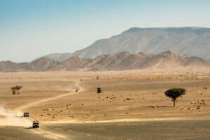 【画像】かわいい「パンダ」の群れが「サハラ砂漠」を大爆走！　世界一ムチャで過激な旧車ラリー 〜 画像99