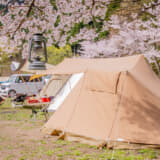 エリアごとの桜の開花予想に合わせてキャンプのスケジュールを