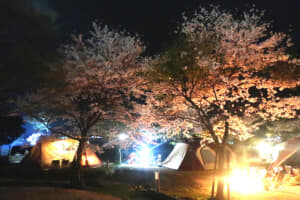 【画像】年に１度最高の時間が訪れる！　「お花見キャンプ」ができるオートキャンプ場10選 〜 画像3