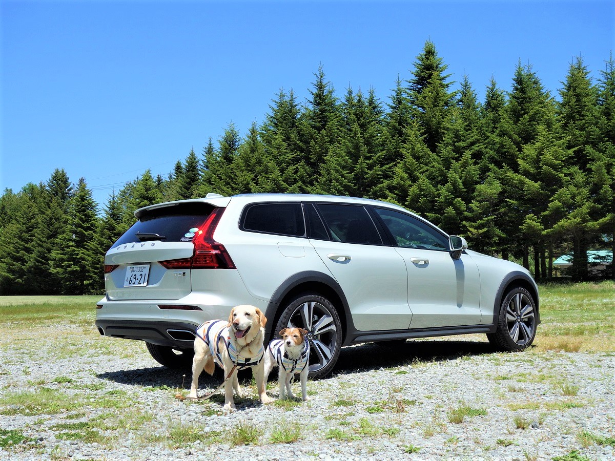 ボルボV60と愛犬ドライブ