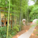 竹林に包まれたグランピング施設