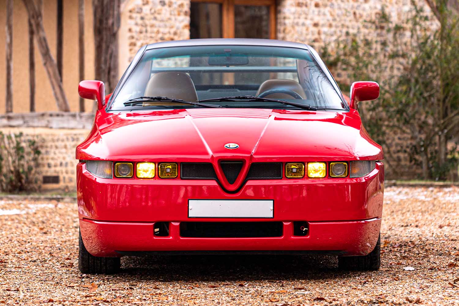 「トナーレ」の元ネタ「SZ」が1400万円！ ザガートが手掛けたアルファ ロメオは販売的には失敗だった!? | AUTO MESSE WEB ...