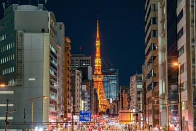 東京タワーはランキング圏外という結果に