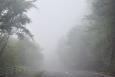 霧の出やすいところをよく走るなら、フォグランプをイエローバルブにしておくのもいいだろう