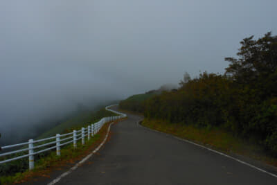 季節の変わり目である秋の季節には濃霧に用心したい