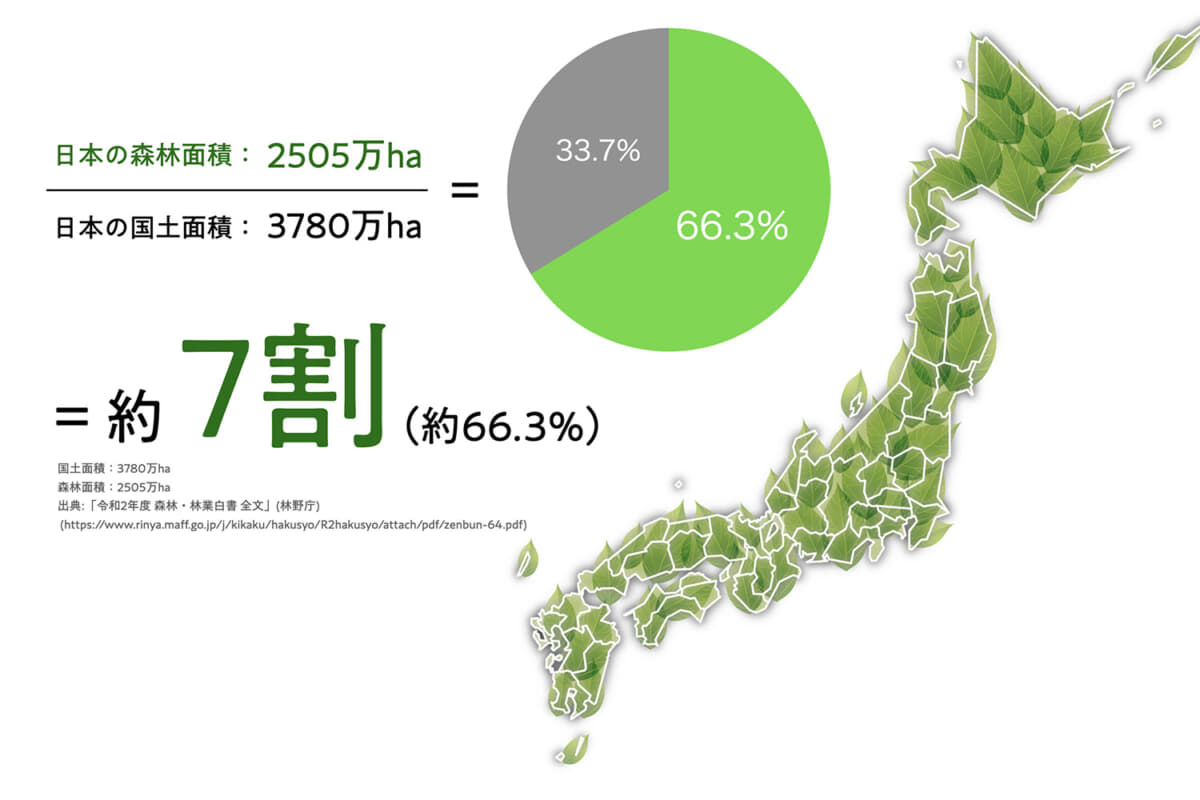 日本の森林の問題（間伐材の問題）