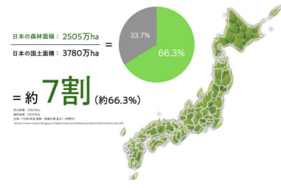日本の森林の問題（間伐材の問題）