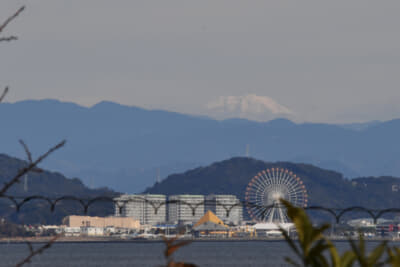 スパ西浦からの、蒲郡市のラグーナ地区の眺め。その向こうには富士山もみえる