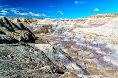 ブルー・メサと呼ばれる名所。年代によって色の異なる地層が露出している。2億2000万年～2億2500万年前に形成されたとのことだ