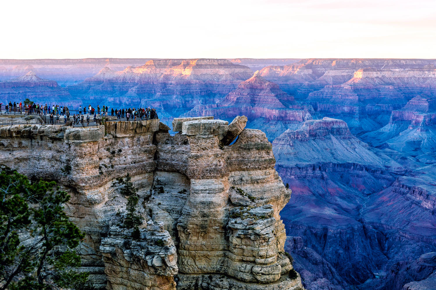 プロノスティコ