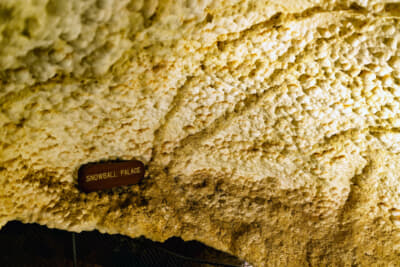 乾燥しているだけに鍾乳石は皆無に近い。ドライ・キャバーンと呼ばれる湿気のない洞窟は、世界の洞窟のうち3%しかないとのこと