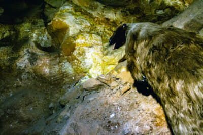洞窟から脱出しようともがく巨大なエレモテリウム。写真の中央から少し左に付けられた無数の白い引っ掻き傷がその痕跡とのことだ