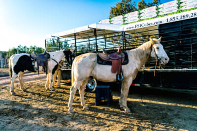 ステージコーチ66モーテルのオーナー、リサに何度か連れて行ってもらった牧場。馬に乗ってアリゾナの荒野を自由に散歩できる